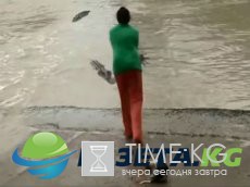 Знсотнмтаиеи, крооыте пиреслвгдаоь орбаелнигю Знсотнмтаиеи, крооыте пиреслвгдаоь орбаелнигю