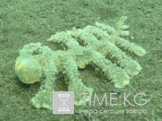 Самые дорогие самолеты в мире Самые дорогие самолеты в мире