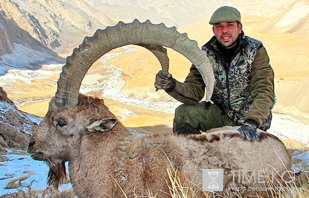 Бизнес на крови. Лицензия на отстрел Марко Поло - пуля вместо защиты