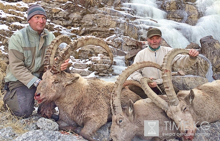 Бизнес на крови. Лицензия на отстрел Марко Поло - пуля вместо защиты