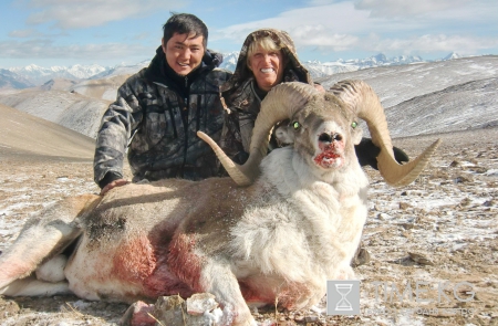 Бизнес на крови. Лицензия на отстрел Марко Поло - пуля вместо защиты