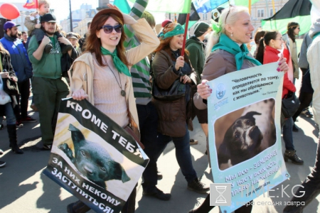 Алена Савченко и Алина Орлова Хабаровск: живодерки заслуживают не менее 8 лет лишения свободы