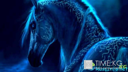 Что ждет Лошадь в 2017 году по восточному гороскопу