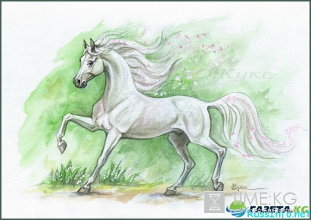 Что ждет Лошадь в 2017 году по восточному гороскопу