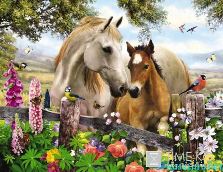 Что ждет Лошадь в 2017 году по восточному гороскопу