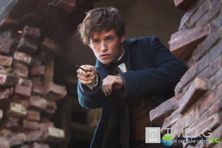 Эдди Редмэйн: Боюсь стать сумасшедшим папочкой