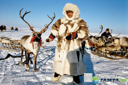 Где встретить Новый Год 2017 недорого