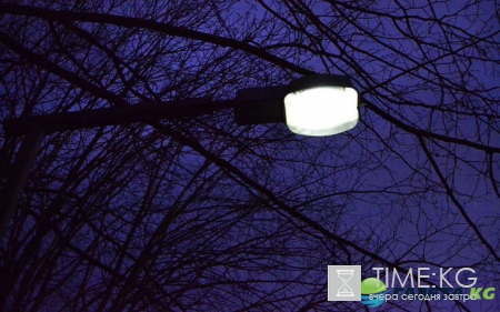 Гороскоп на сегодня 24 ноября 2016 для всех знаков зодиака