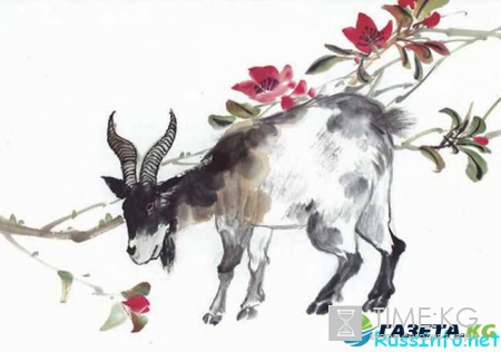 Китайский гороскоп на 2017 год для Козы по месяцам