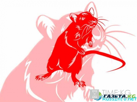 Китайский гороскоп на 2017 год для Крысы по месяцам