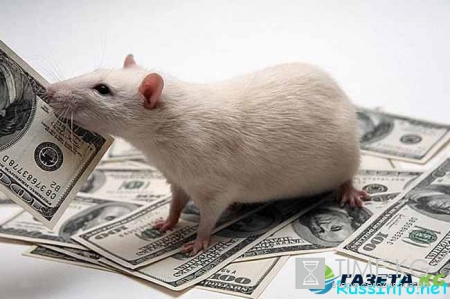 Китайский гороскоп на 2017 год для Крысы по месяцам