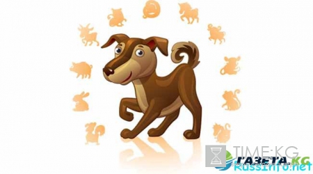 Китайский гороскоп на 2017 год для Собаки по месяцам