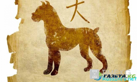 Китайский гороскоп на 2017 год для Собаки по месяцам