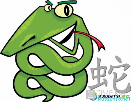Китайский гороскоп на 2017 год для Змеи по месяцам