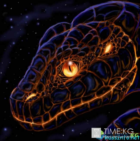 Китайский гороскоп на 2017 год для Змеи по месяцам