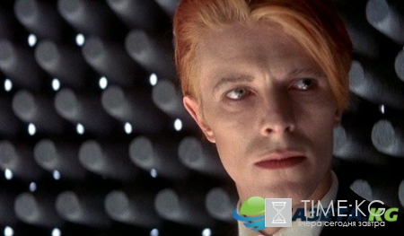 Куда пойти в Киеве 12-13 ноября (афиша)