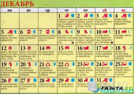 Лунный посевной календарь садовода-огородника на декабрь 2016 года