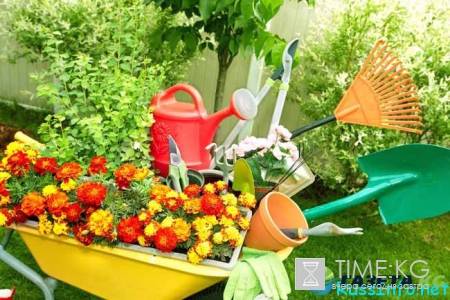 Лунный посевной календарь садовода-огородника на декабрь 2016 года