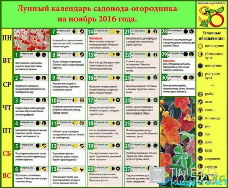 Лунный посевной календарь садовода-огородника на ноябрь 2016 года