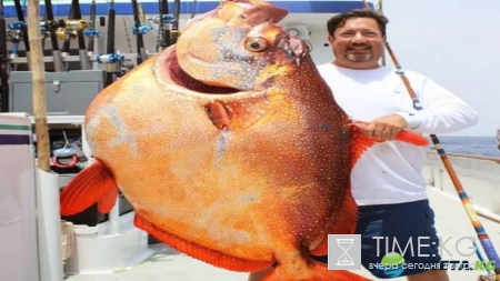 Неожиданный улов: фотографии повергнут в шок