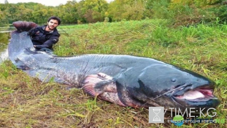Неожиданный улов: фотографии повергнут в шок