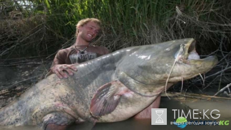 Неожиданный улов: фотографии повергнут в шок