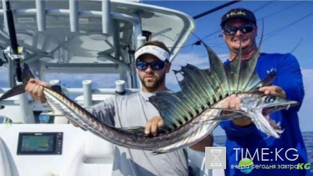 Неожиданный улов: фотографии повергнут в шок