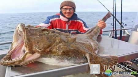 Неожиданный улов: фотографии повергнут в шок