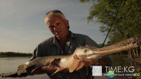 Неожиданный улов: фотографии повергнут в шок