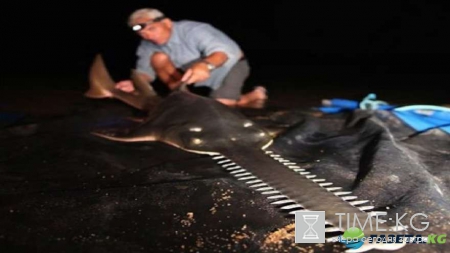 Неожиданный улов: фотографии повергнут в шок