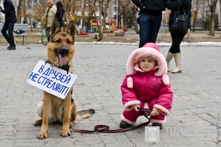Новости Хабаровска: живодерки ускорили появление в России зоополиции и омбудсмена для животных