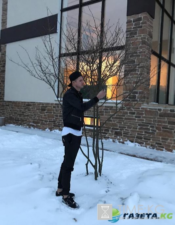 Новости шоу-бизнеса России сегодня, 15.11.2016: тайны звезд, новости знаменитостей 15 ноября