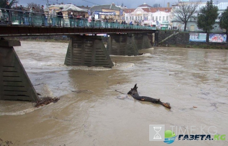 В Ужгороде река вышла из берегов (видео)