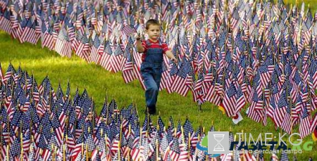 Выборы президента США 2016, результаты, онлайн трансляция