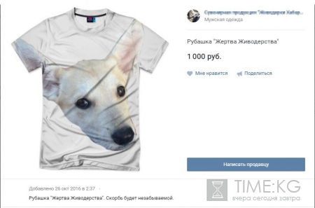 Живодерки из Хабаровска последние новости: девицы могли иметь меркантильный интерес