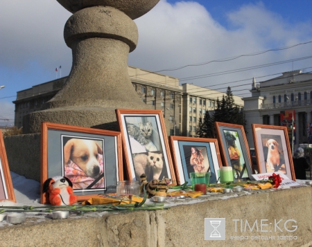 Живодерки из Хабаровска последние новости: объявились хозяева одной из жертв Савченко и Орловой