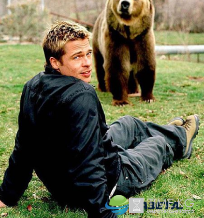 12 женщин Брэда Питта по версии мировых СМИ