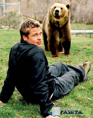 12 женщин Брэда Питта по версии мировых СМИ