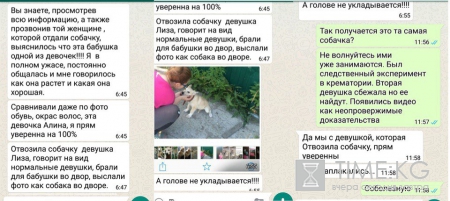 Алина Орлова и Алена Савченко: девушки подозреваются в мошенничестве, какой срок добавит новое обвинение