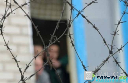 Амнистия 2017 года в Беларуси последние новости