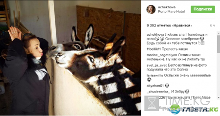 Анфиса Чехова нашла общий язык с настоящими ослами (фото)