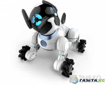 Эксперты назвали худшие гаджеты 2016 года