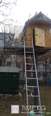 Голубятня в Кишиневском дворе. Возрождение замечательной традиции прошлых лет