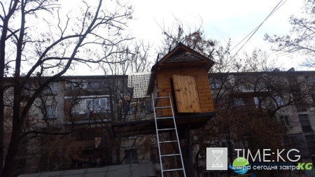 Голубятня в Кишиневском дворе. Возрождение замечательной традиции прошлых лет