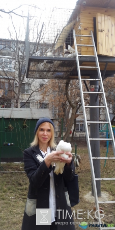 Голубятня в Кишиневском дворе. Возрождение замечательной традиции прошлых лет