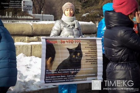 Хабаровские живодерки последние новости: СКР добрался до причастности живодерок к секте