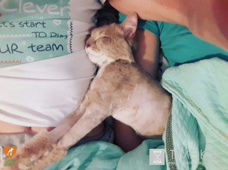 Хабаровские живодерки скоро начнут «уступать» Кировским живодерам