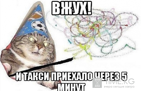 Кот «Вжух» стал героем мемов: откуда взялся кот-волшебник и почему он такой популярный