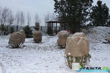 Лунный посевной календарь садовода-огородника на февраль 2017 года