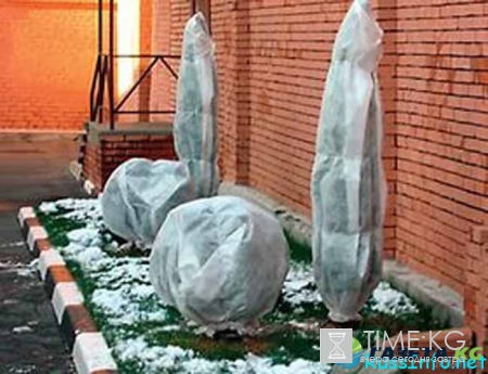 Лунный посевной календарь садовода-огородника на февраль 2017 года